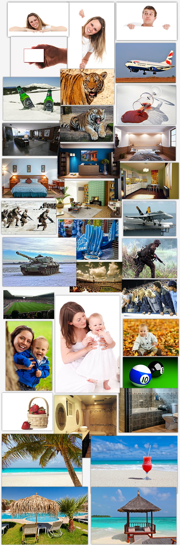 1500 Stock Photos